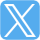x icon