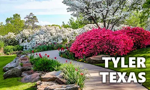 Seller: Tyler, Texas